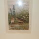Gravure ornithologique