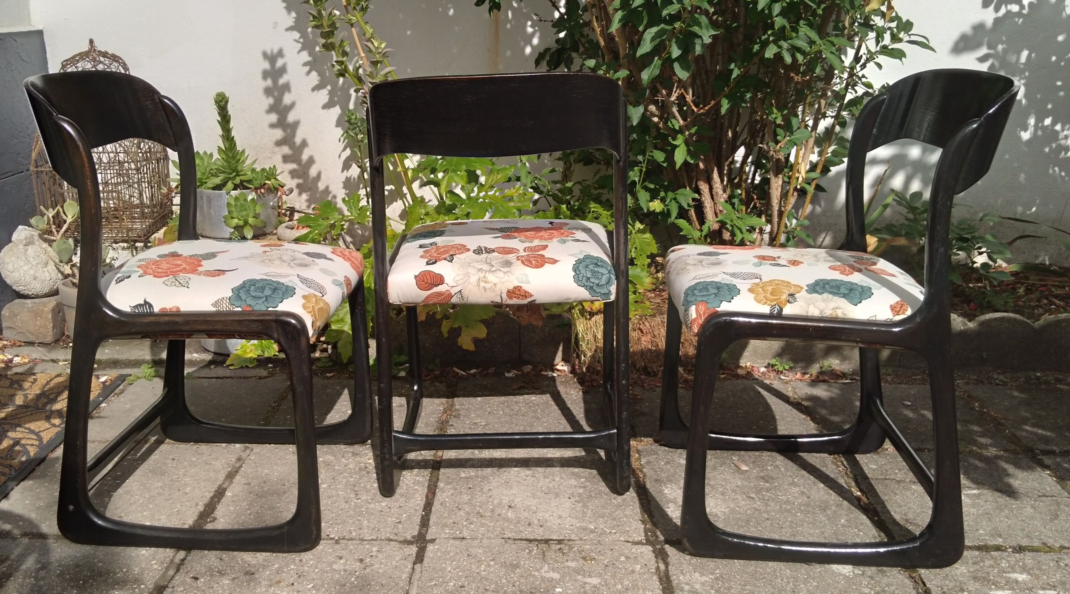 Baumann sled chairs