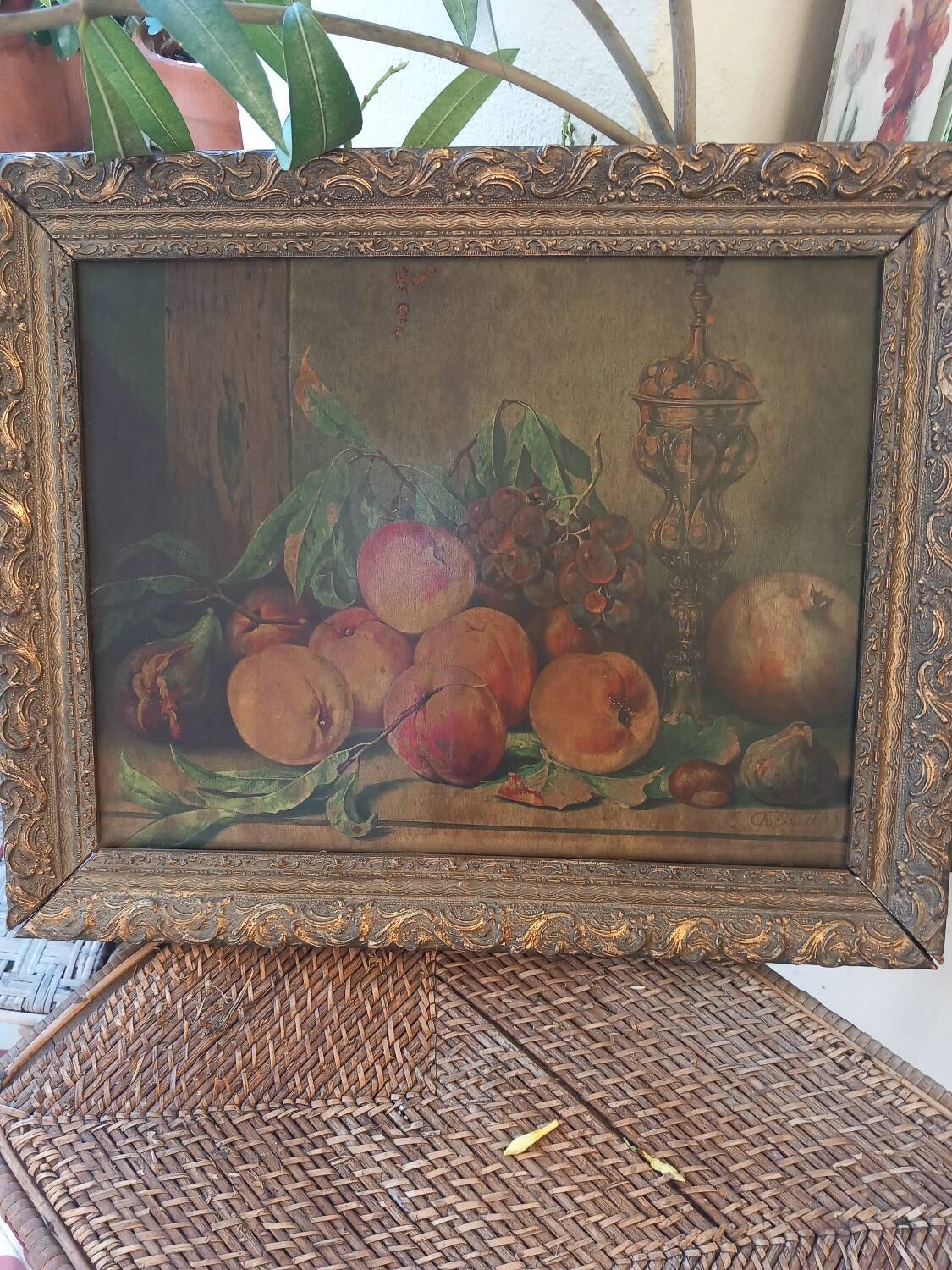 Old still life