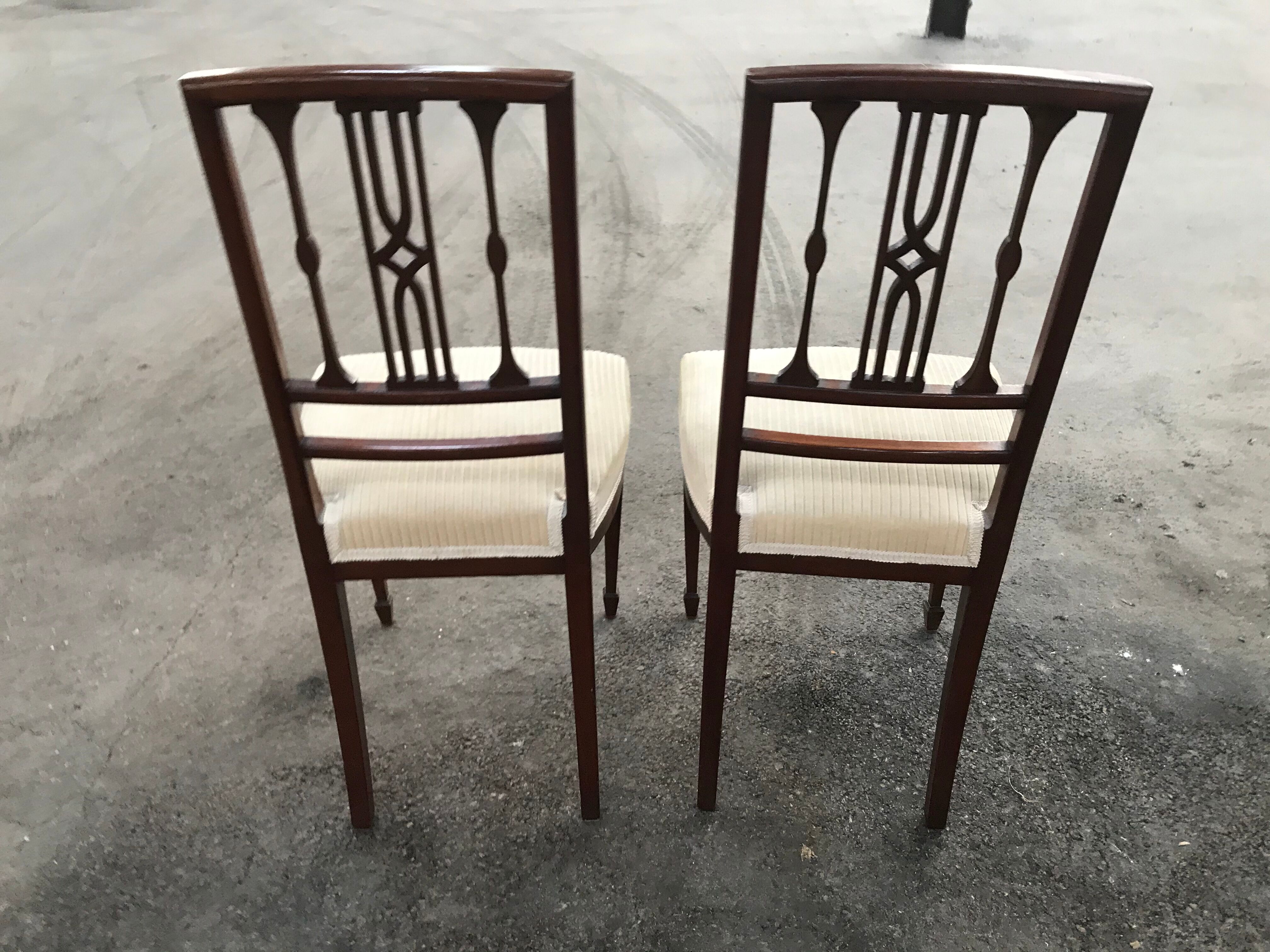 Pair of English chairs in beige velvet