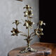 Brass candle holders