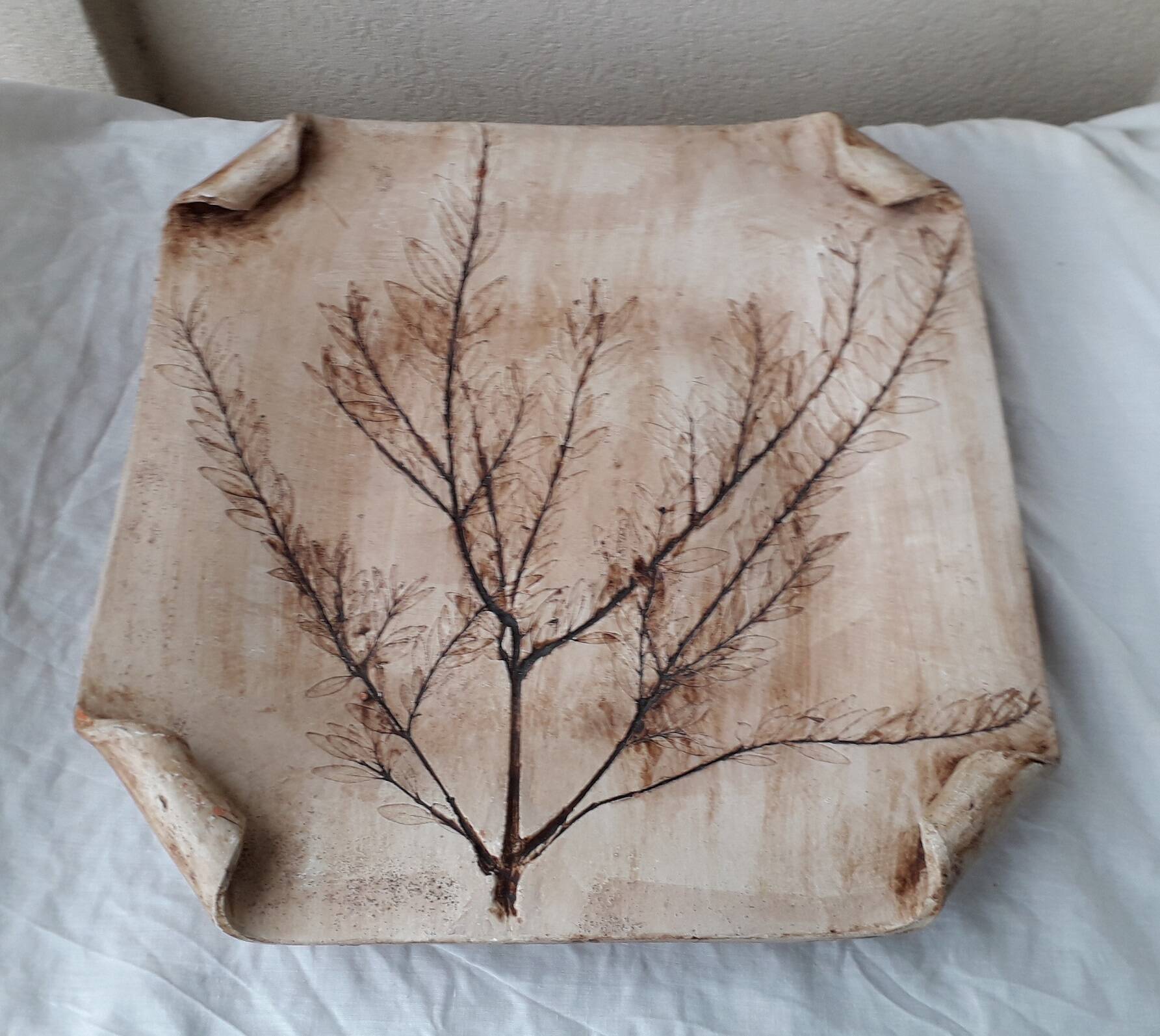 Herbarium cut dish