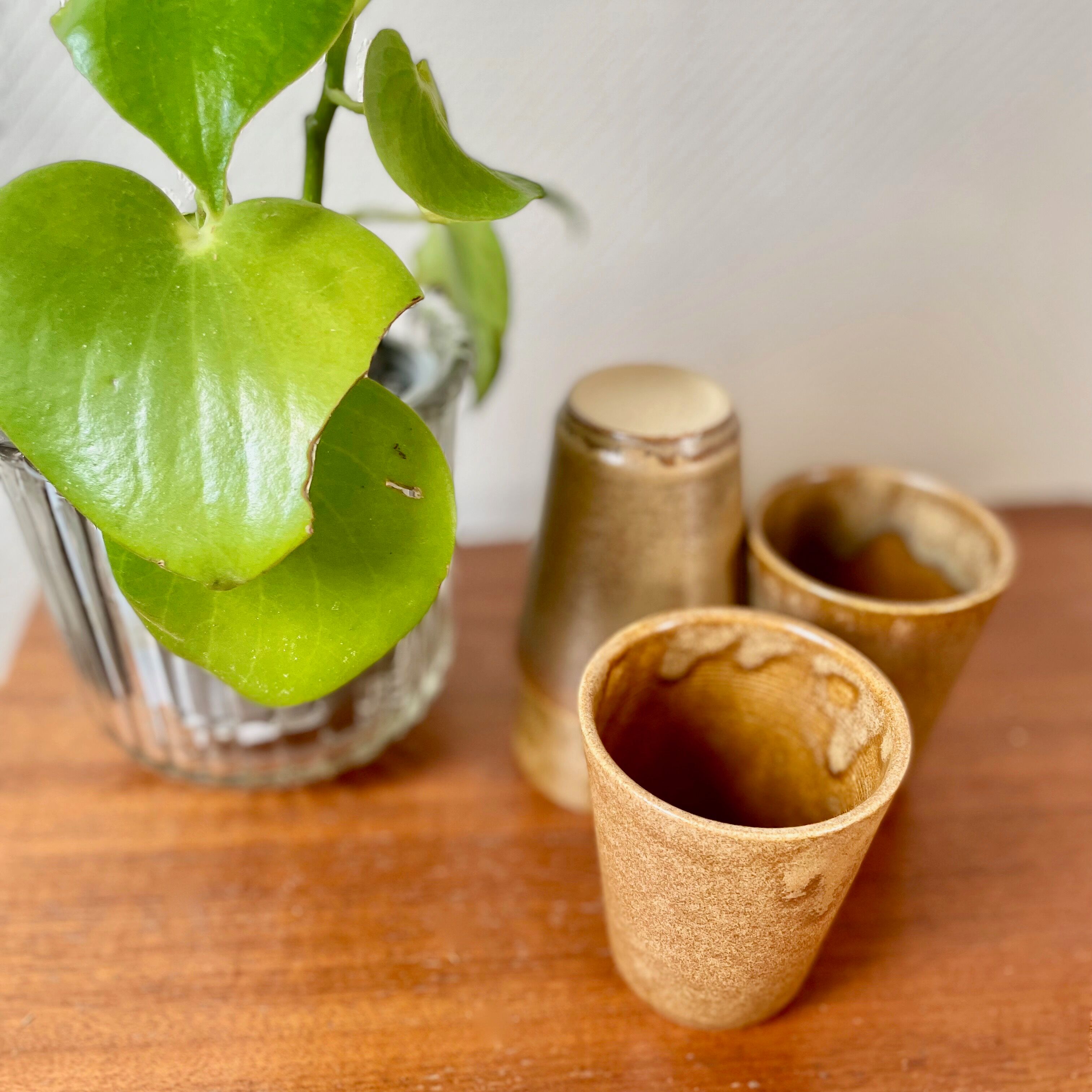 Set of 4 digoin sandstone glasses