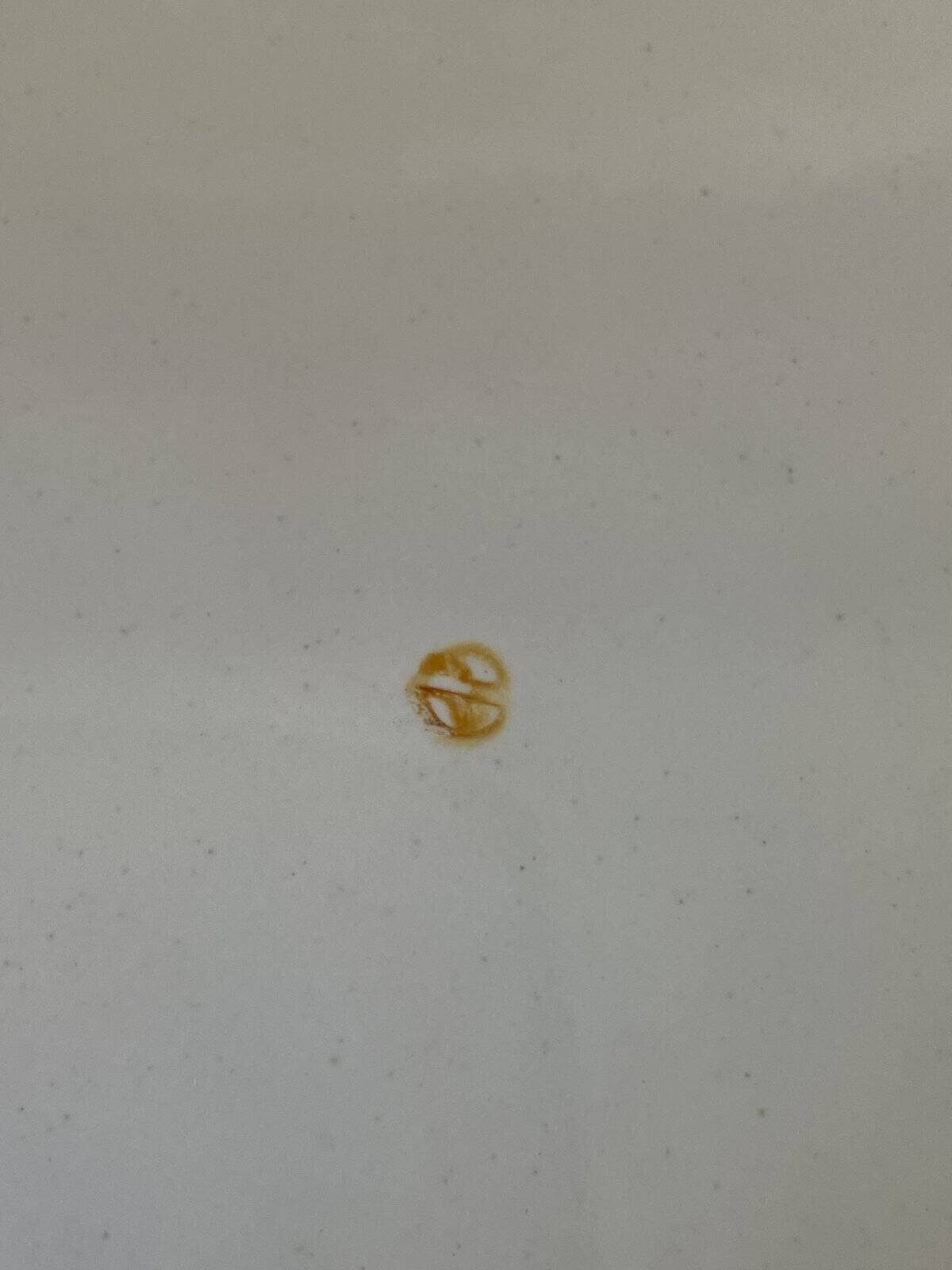 2 antique decorative plates Les Islettes