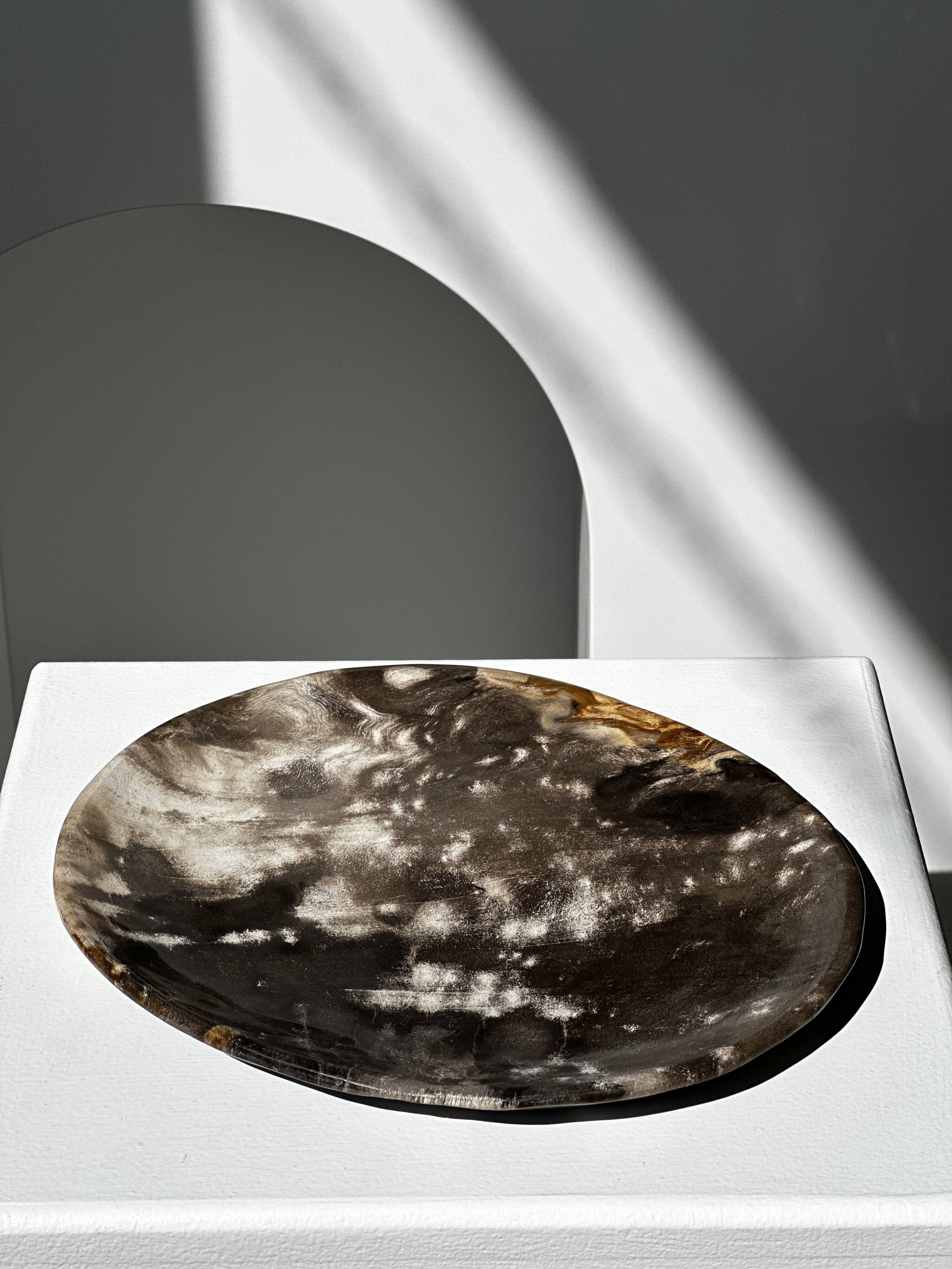 Dish in petrified wood