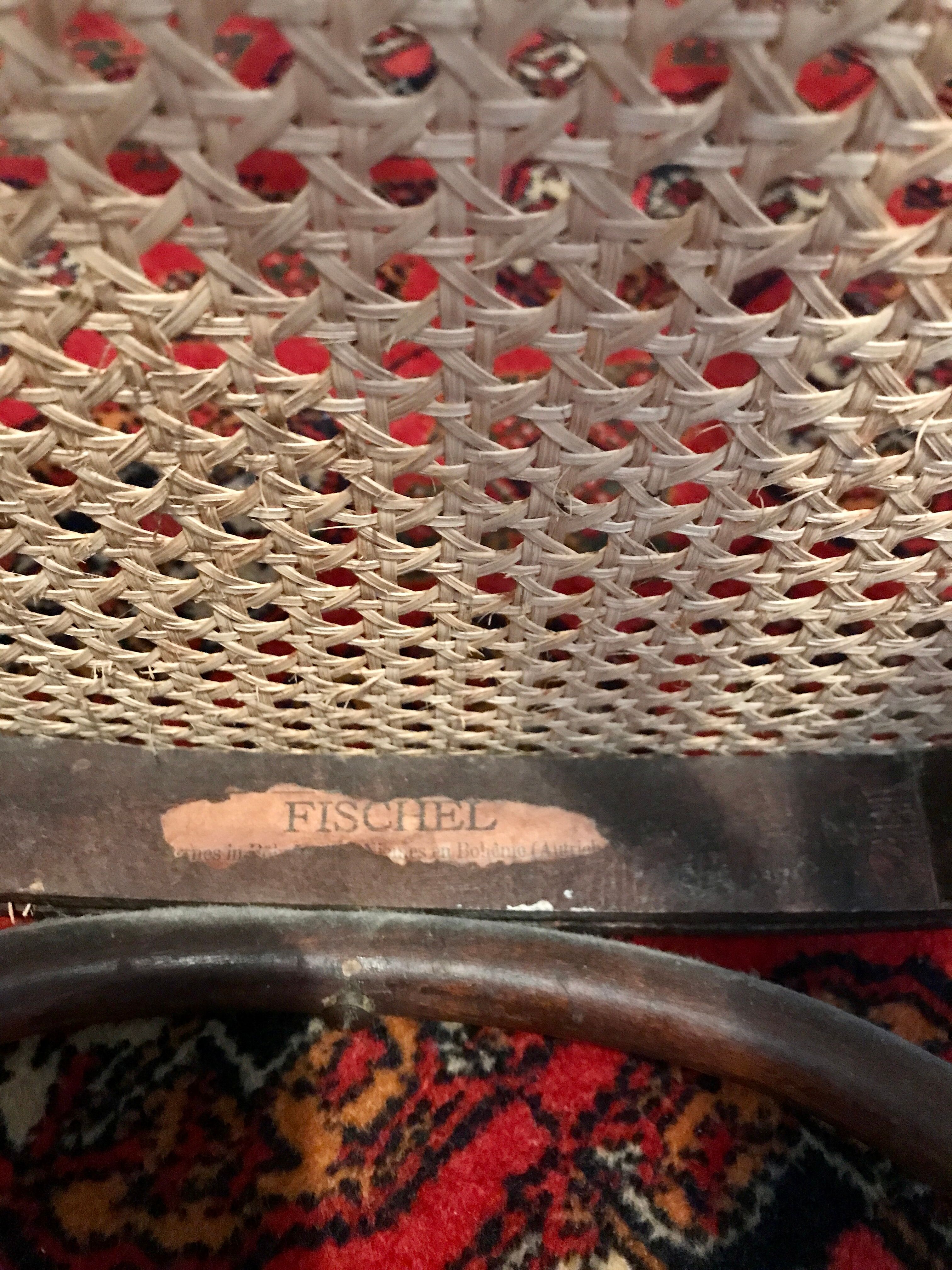 Paire de chaises fischel