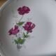 Flat plate gien model elegance