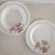 Set of 1 dish and 1 deep dish Badonviller