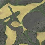 large colorful ceramic fruit basket dish