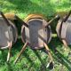 3 chaises bistrot