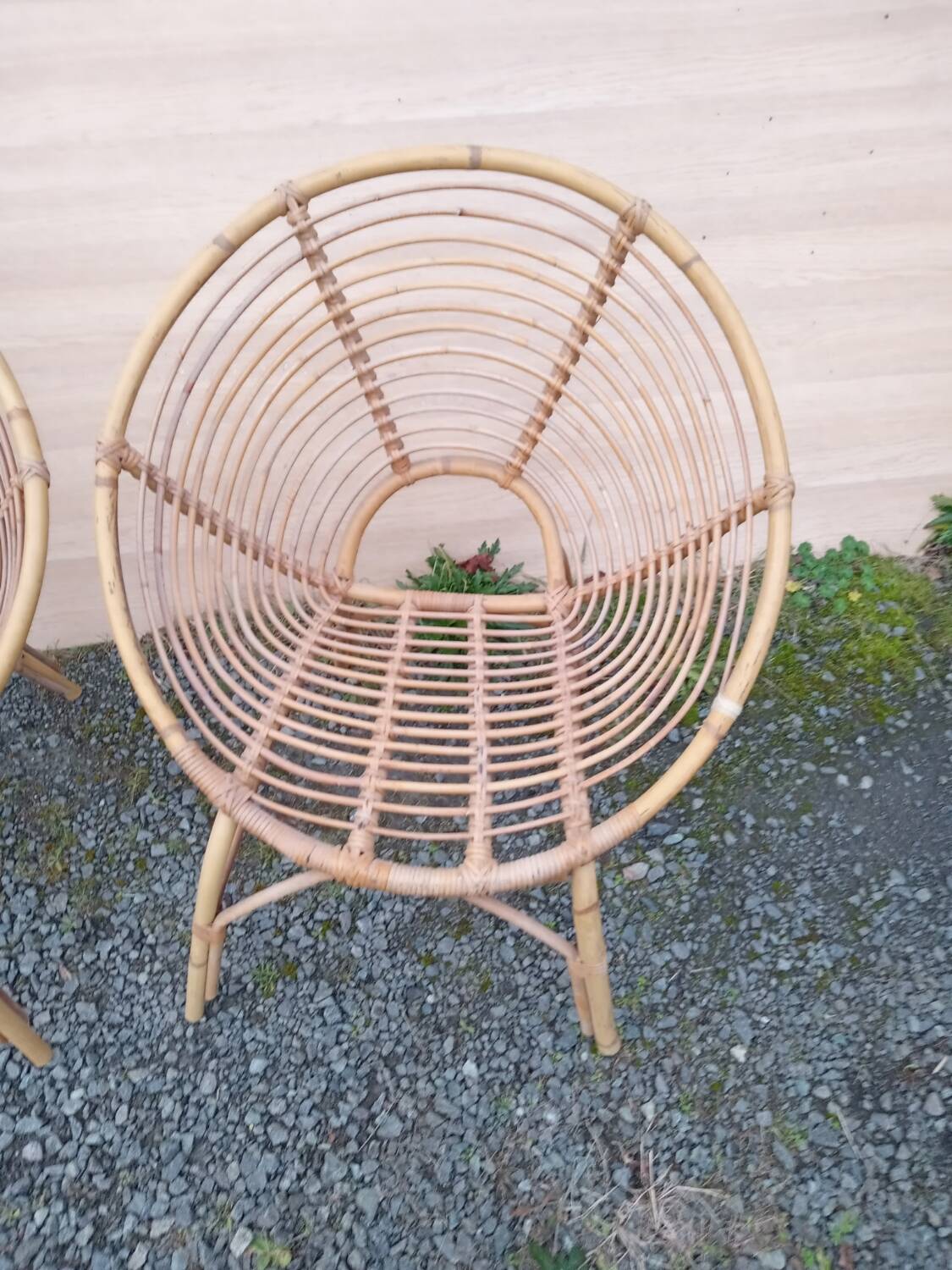 Pair of rattan armchairs