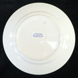 11 flat plates badonviller red no digoin