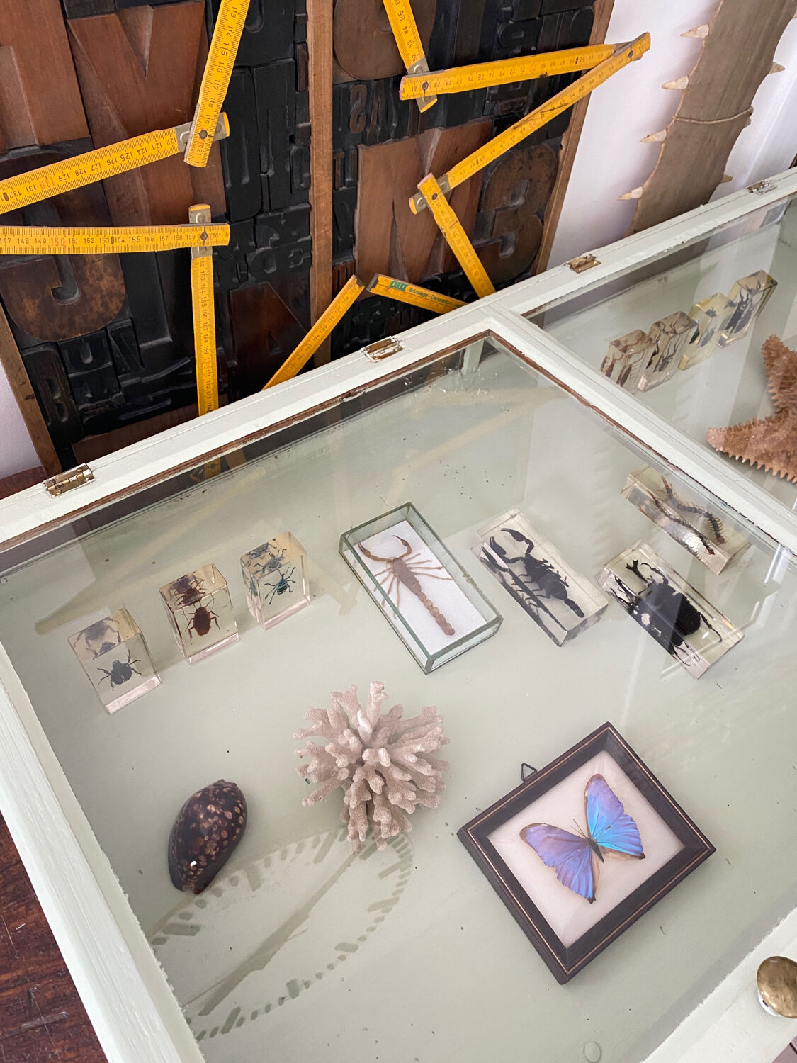 Display case with double glass