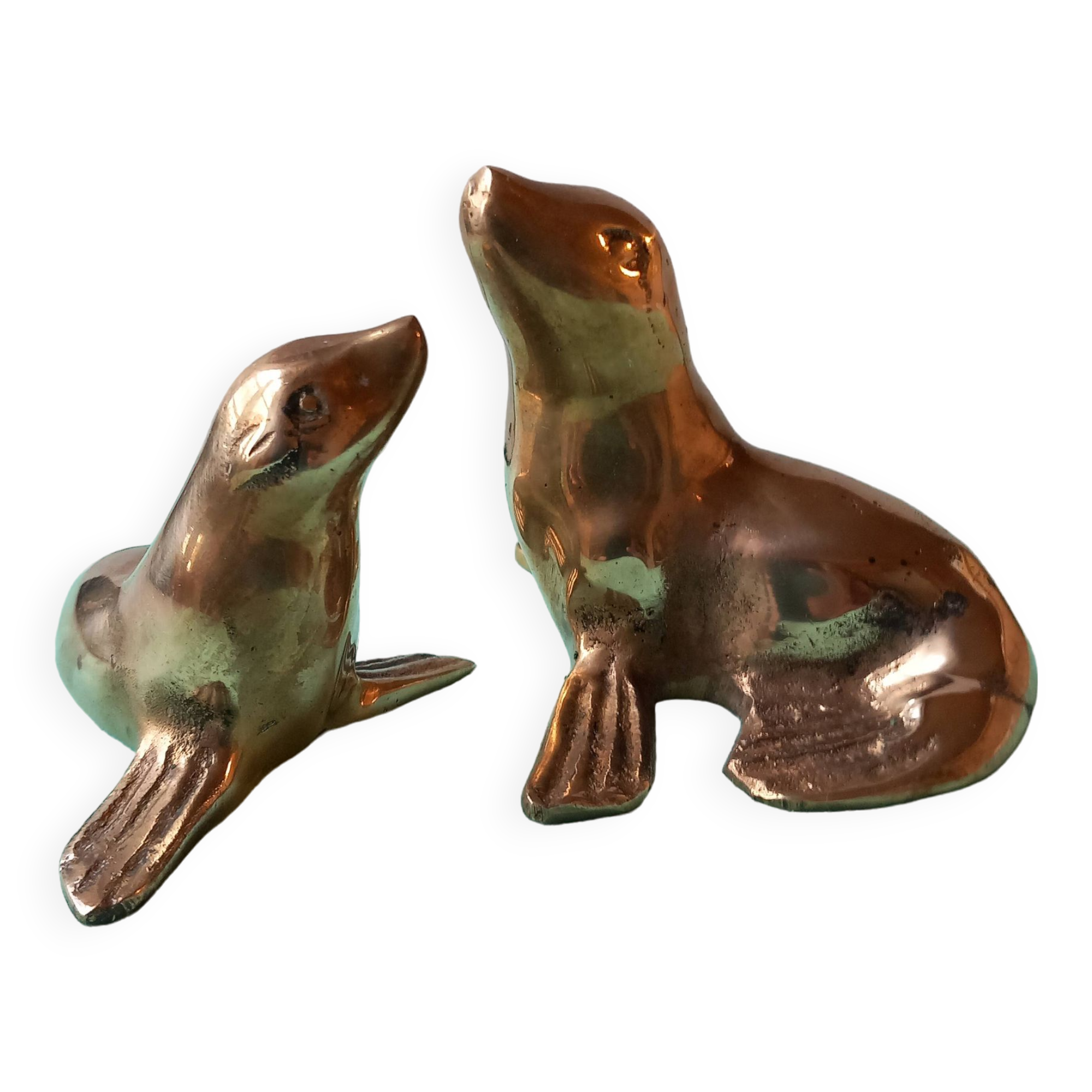 Brass sea lion duo