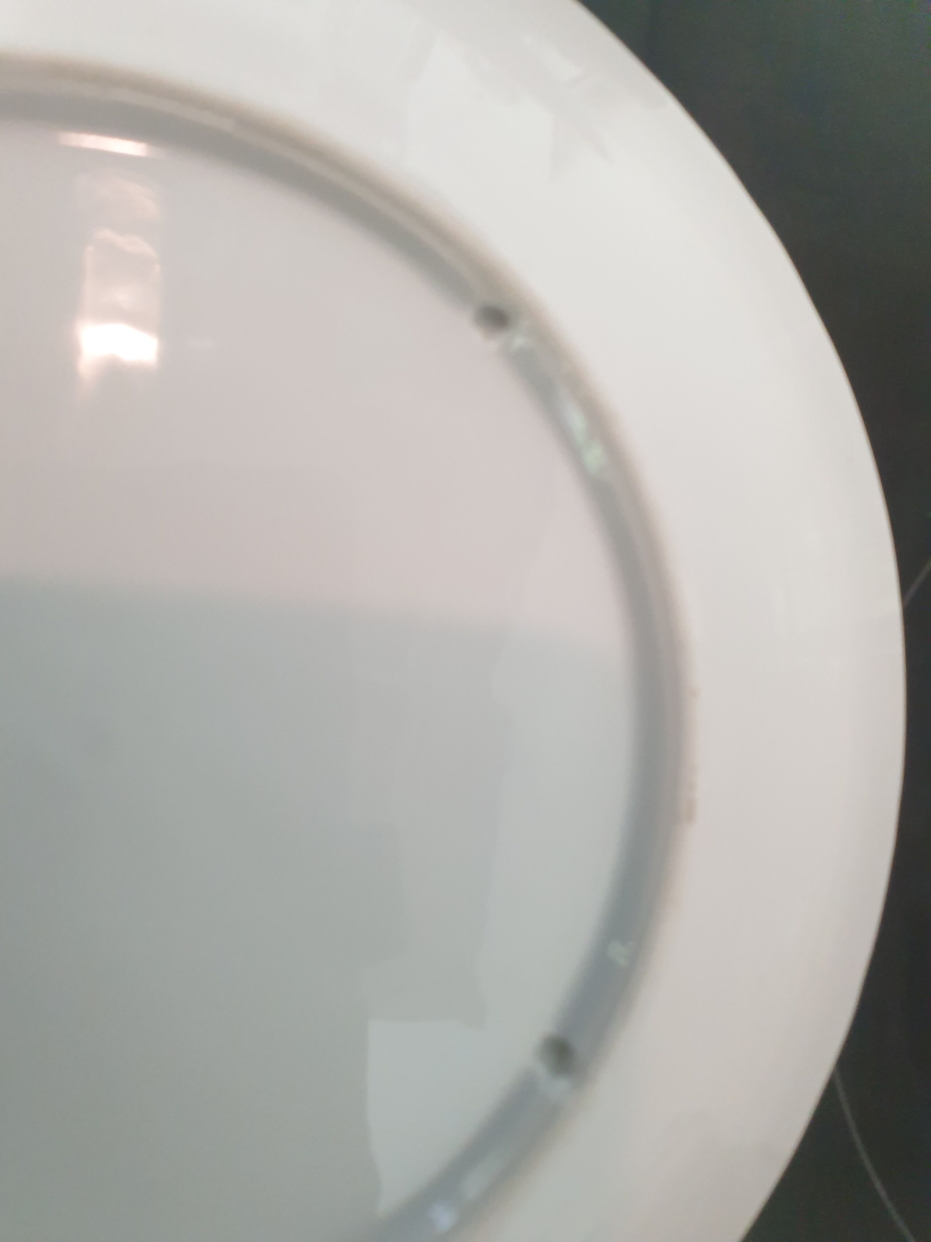 2 Japanese plates with Parrots