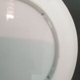 2 Japanese plates with Parrots