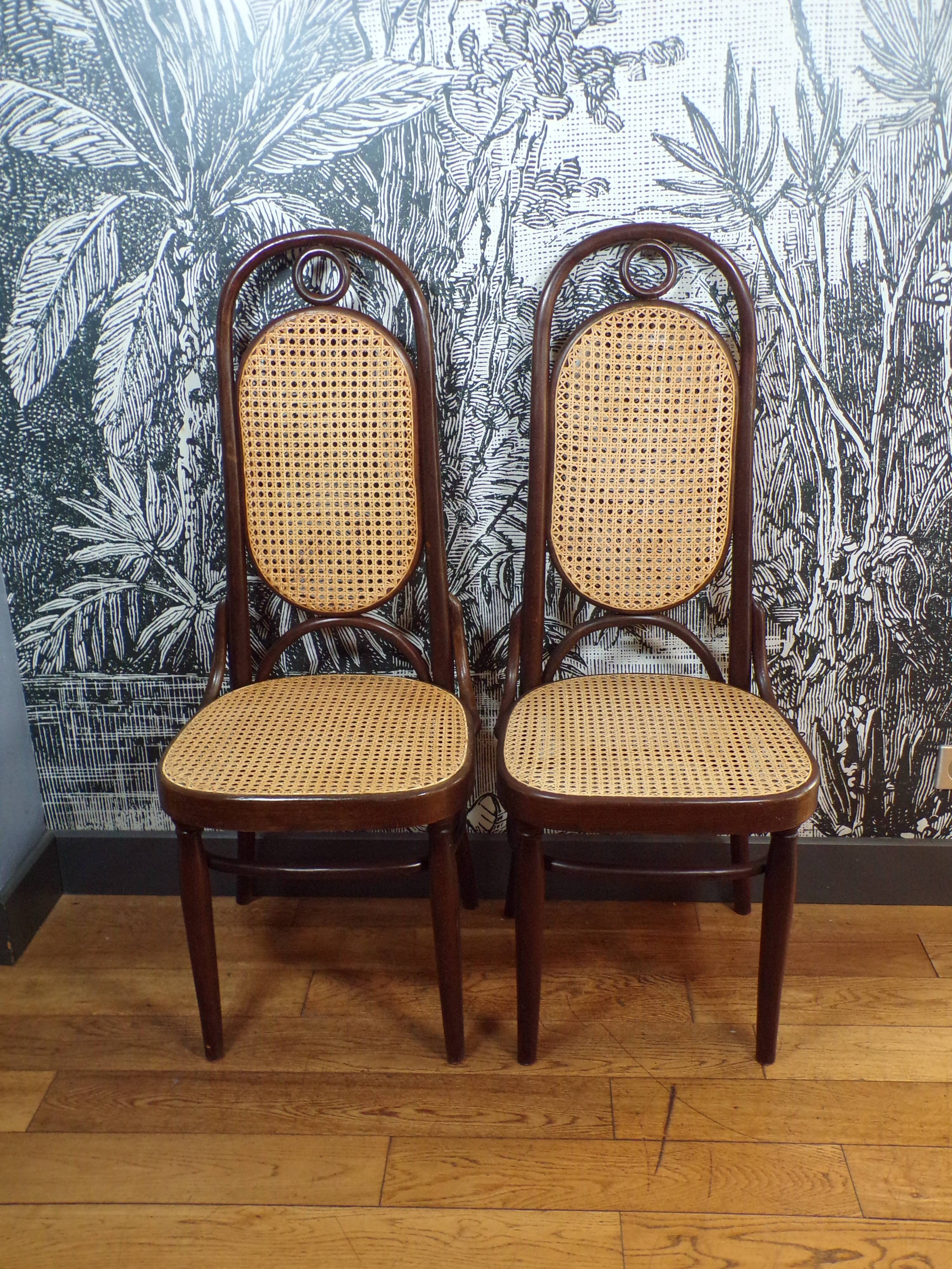 Pair of Thonet 207R chairs in bentwood