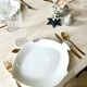 Set of 6 Royal Tettau German porcelain fish plates