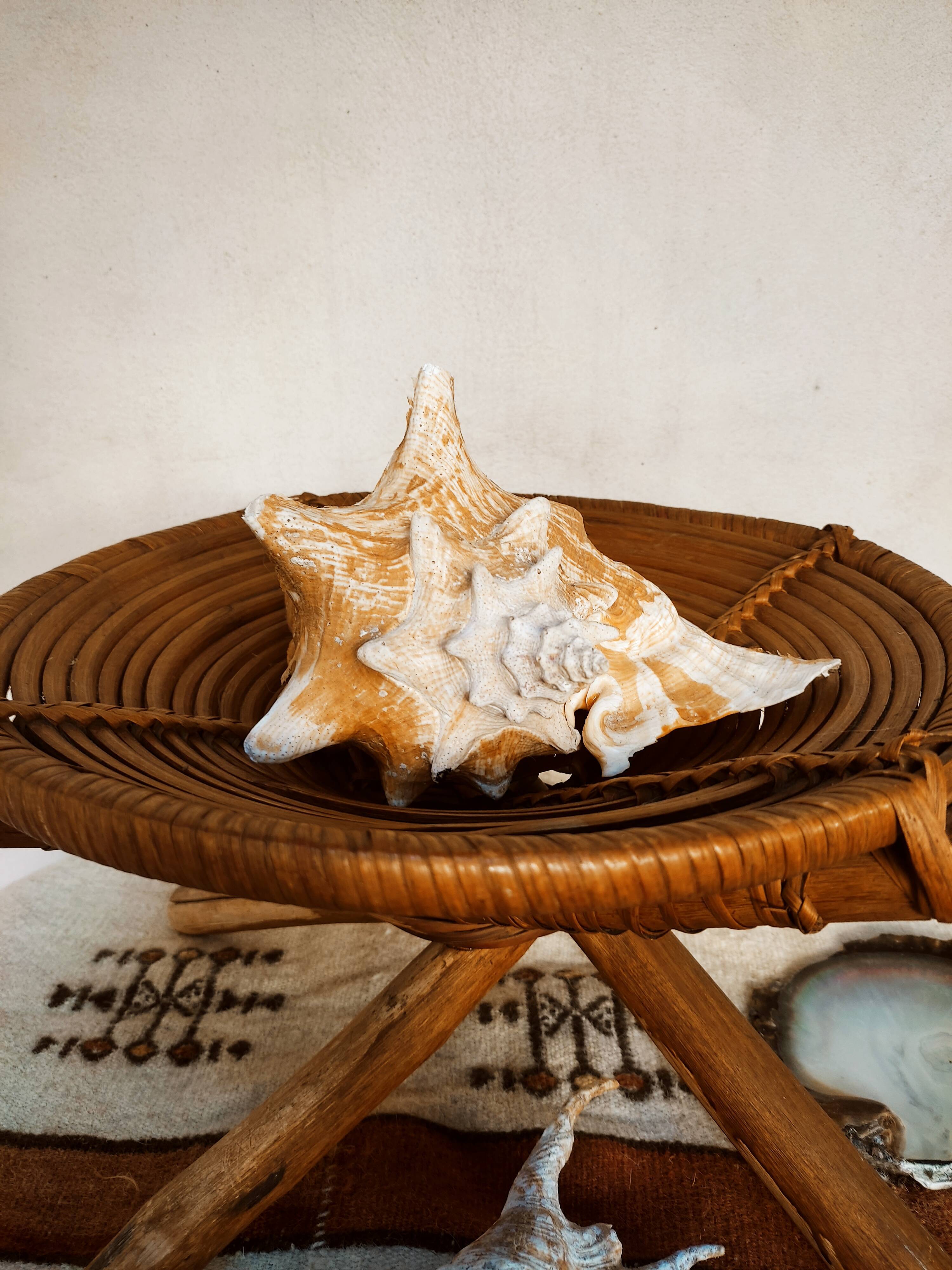 Ethic cup on crossed feet