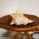 Ethic cup on crossed feet