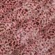 Vintage Pink & Brown Bordered Style Rug, 203x299Cm