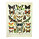 Antique engraving 1897 A. Millot - Butterflies of Europe, insects, entomology