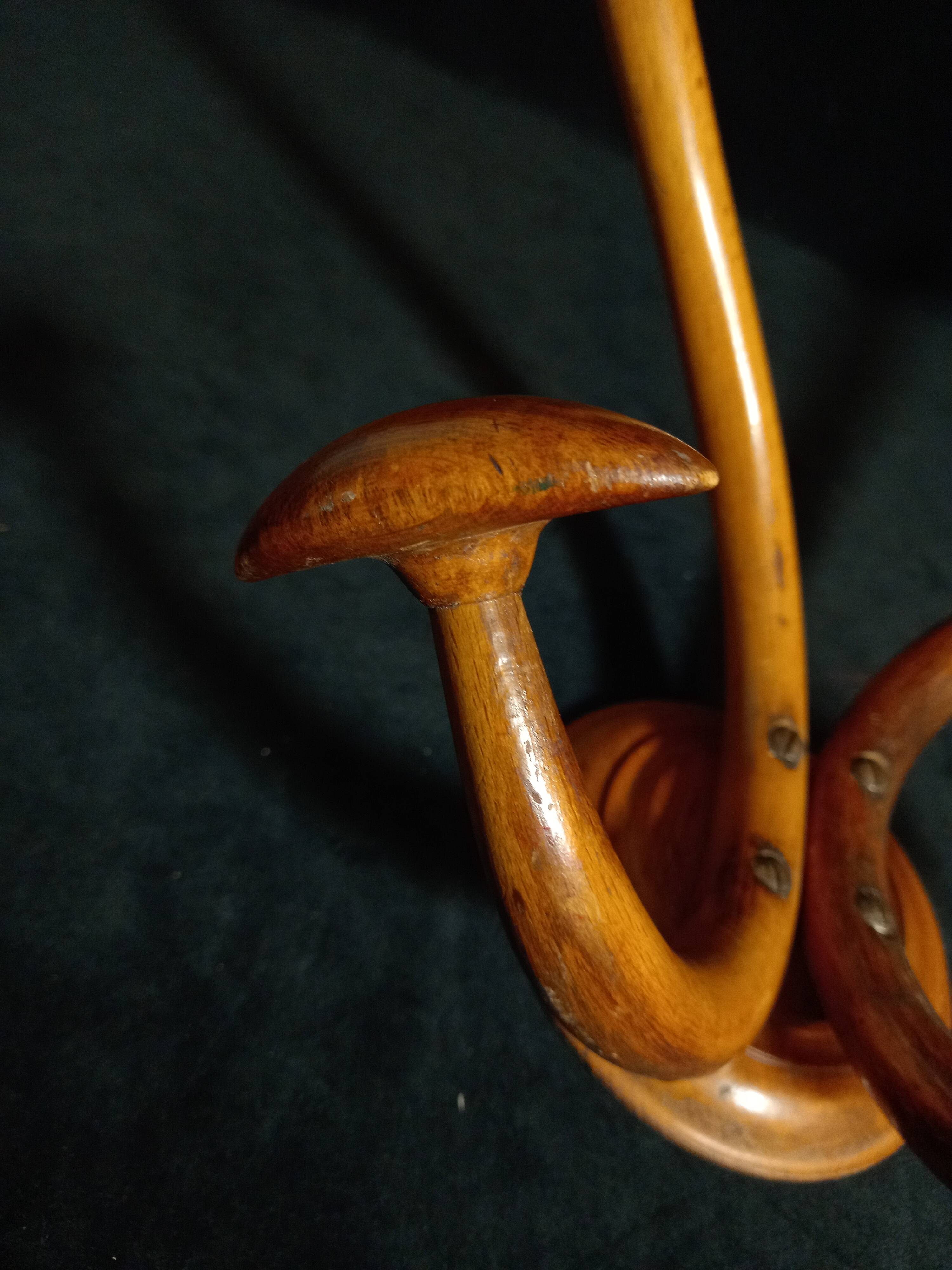 Double Art Nouveau Coat Hook in Bent Wood from Thonet