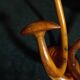 Double Art Nouveau Coat Hook in Bent Wood from Thonet