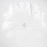 "Celestia" ceiling light by Tobia Scarpa for Flos, 1980s