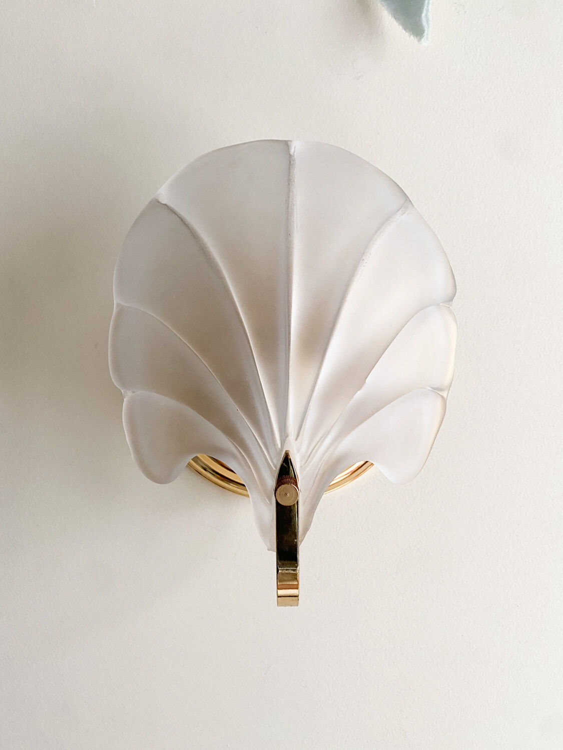 Shell sconces
