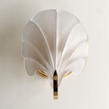 Shell sconces
