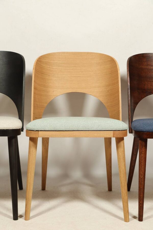 Chaises de salle à manger en chêne naturel, lot de 2/4/6/8, pour salle à manger, restaurants (HoReCa), bureau