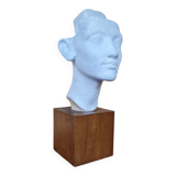 Bust of Nefertiti Louvre Museum Paris