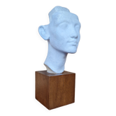 Bust of Nefertiti Louvre Museum Paris