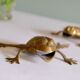 Frog brass  vintage