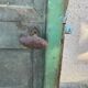 Old door