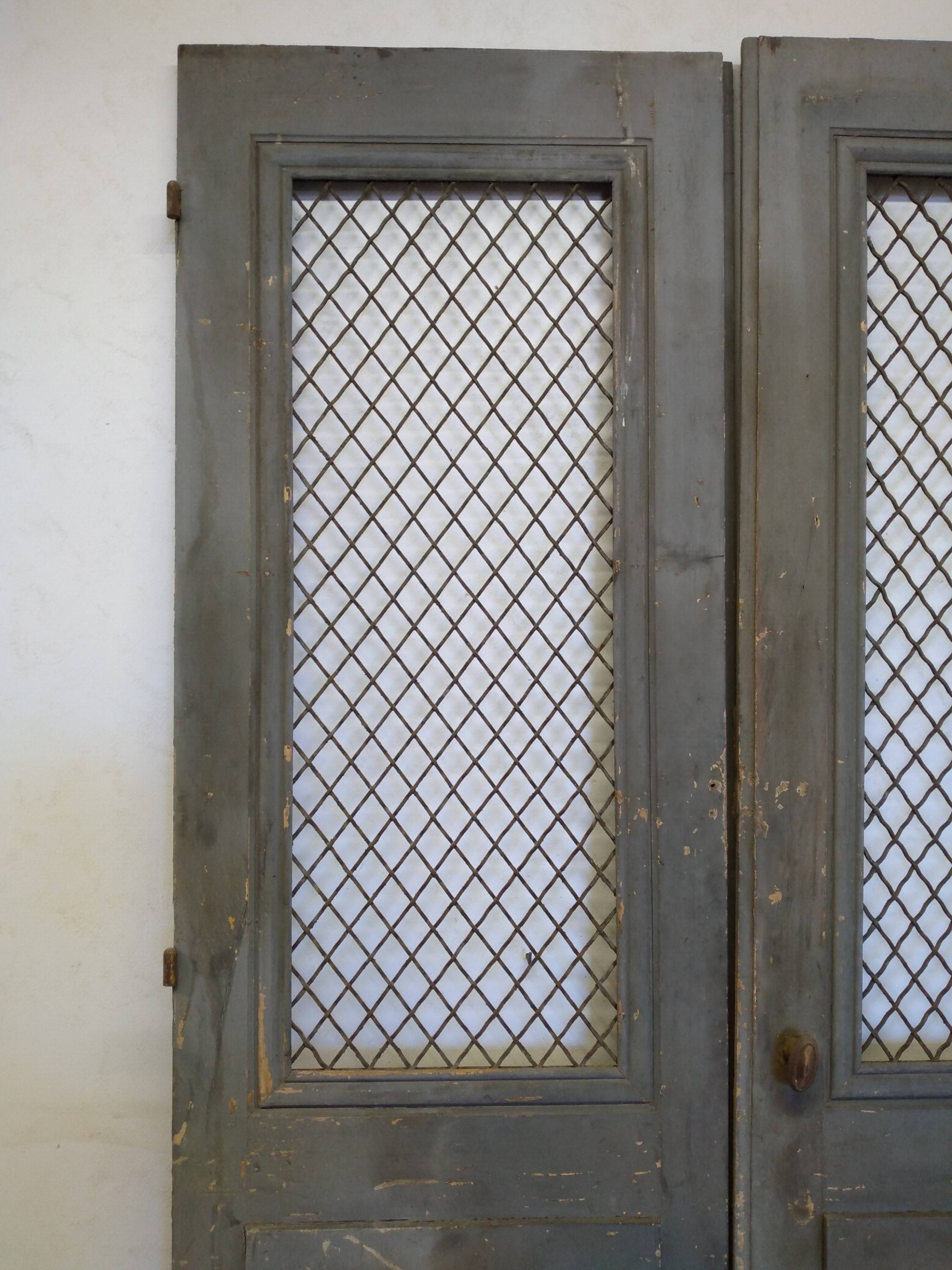 Double old mesh door