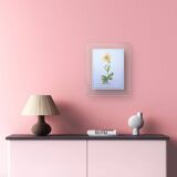 Printed in 1986, Arnica botanical plate.