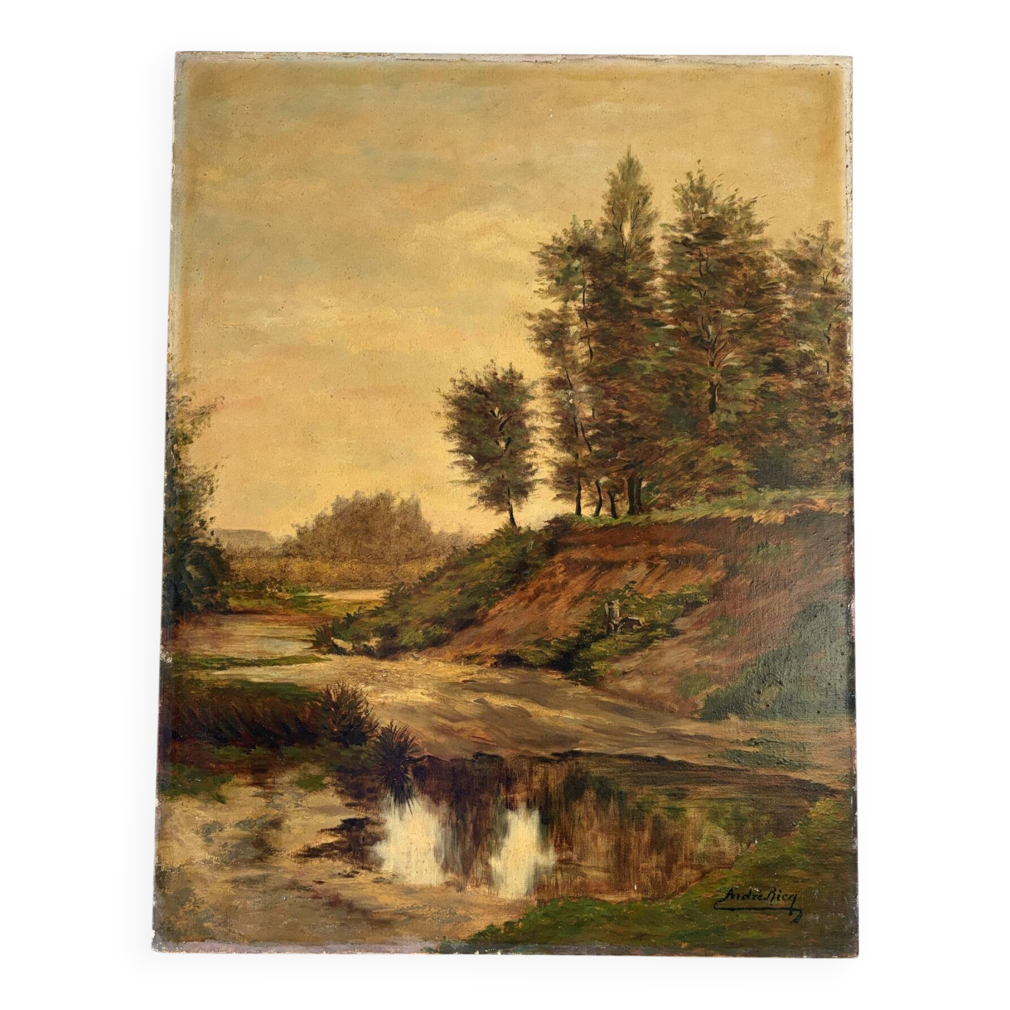 Landscape at the pond, oil on canvas signed André Ricq.