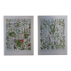Original lithographs on medicinal plants