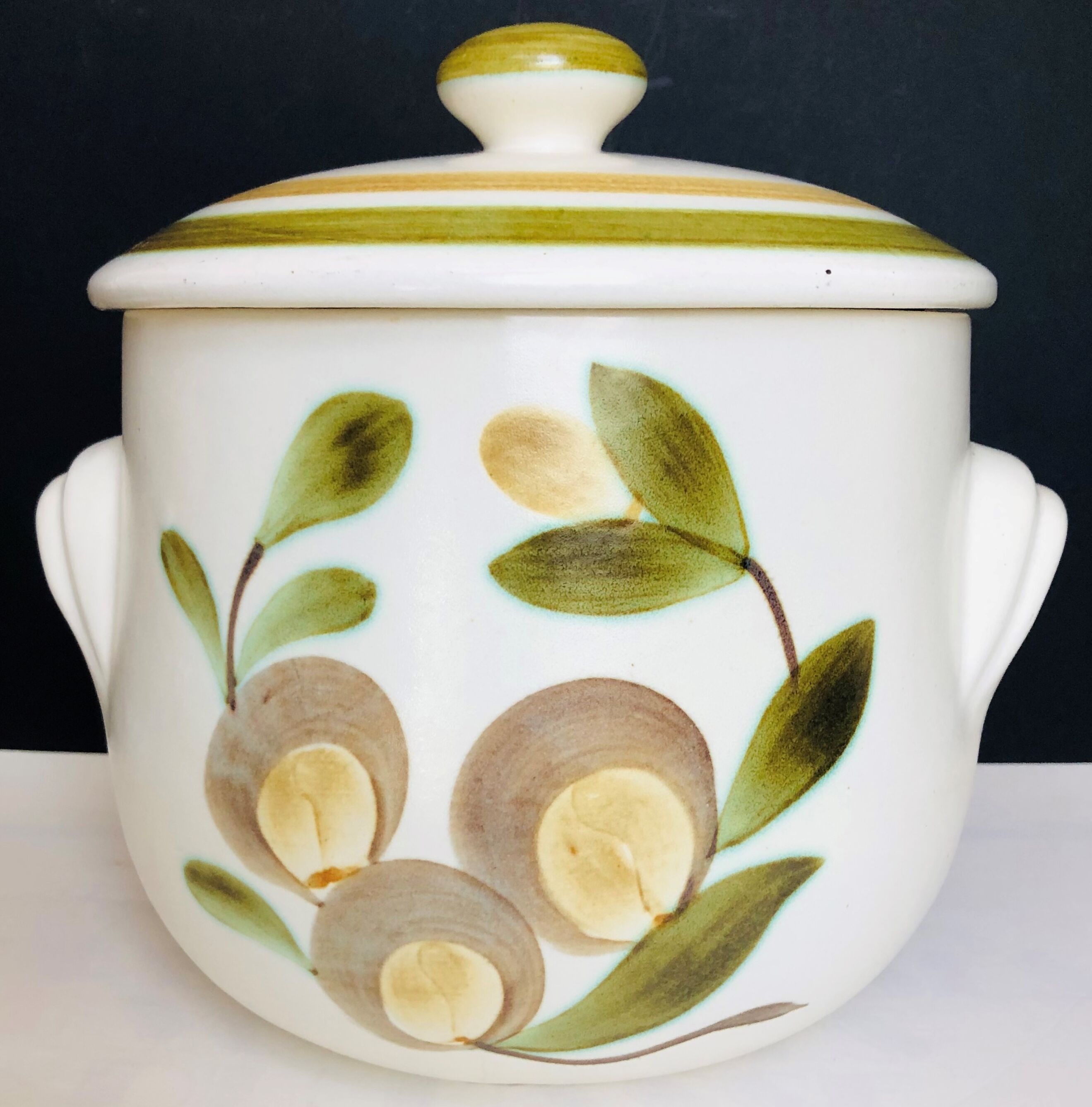 Soup pot in GIEN earthenware