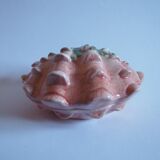 Saucière seashell in dabbling