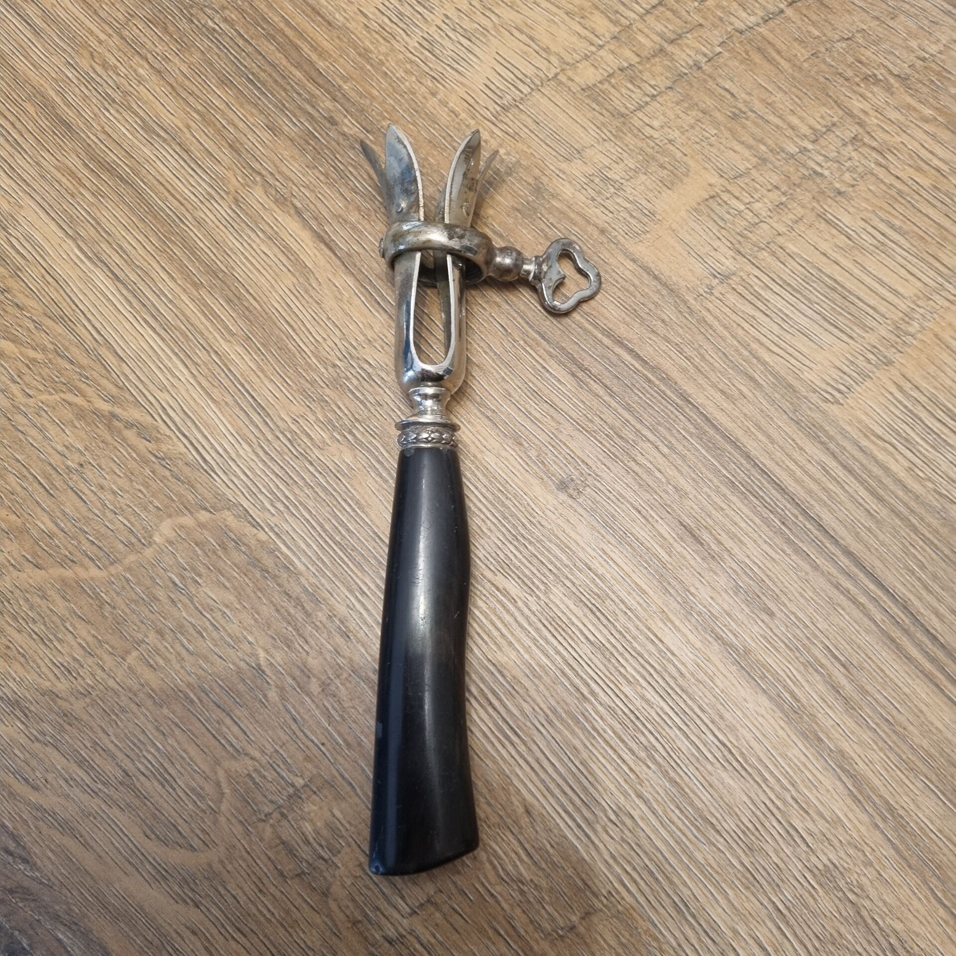 Pince a gigot début XXéme,  corne de vache