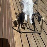 Horse carousel with ressors, 50s