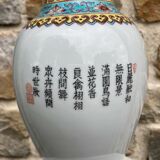 Pink family vase XIXth Chinese