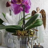 Seau à glaçons en verre moulé