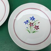 Duo de plats vintage