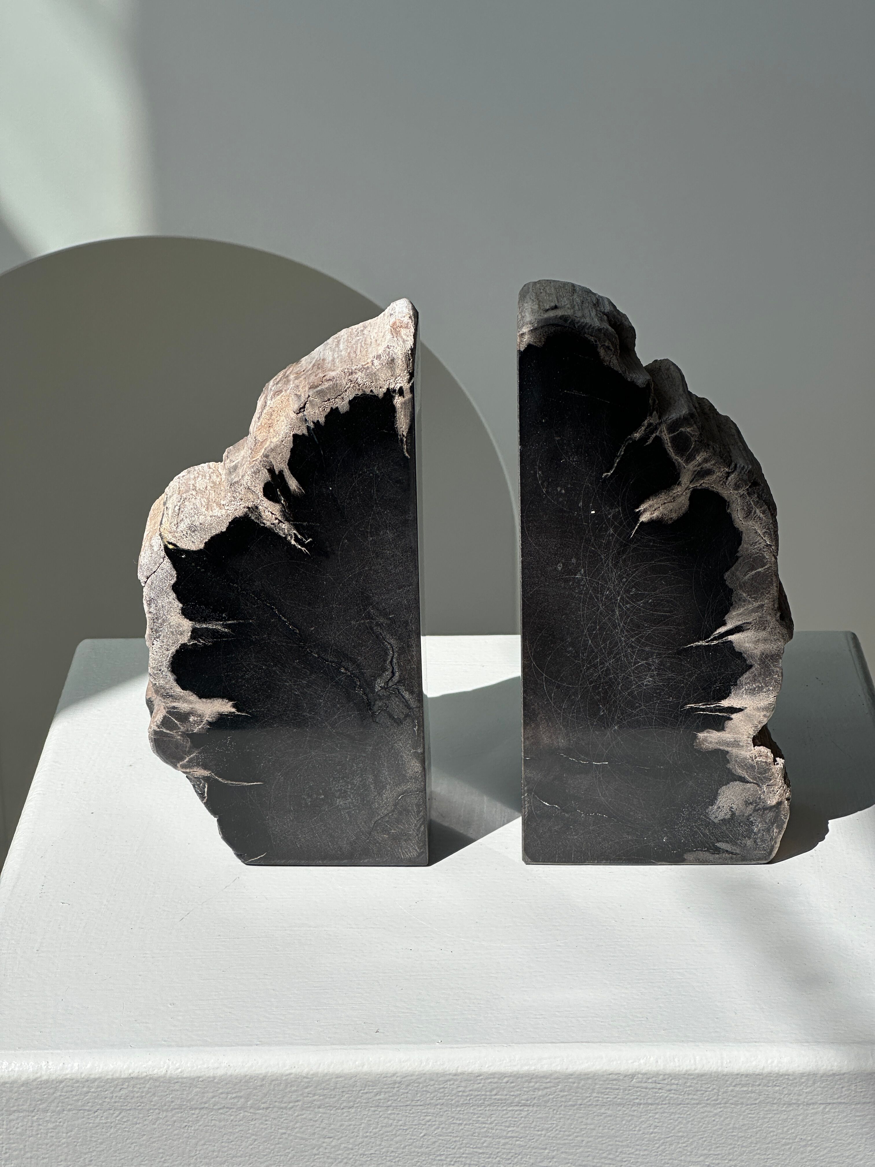 Black petrified wood bookend H17 L17 P6