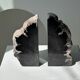 Black petrified wood bookend H17 L17 P6