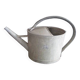 Old zinc watering can